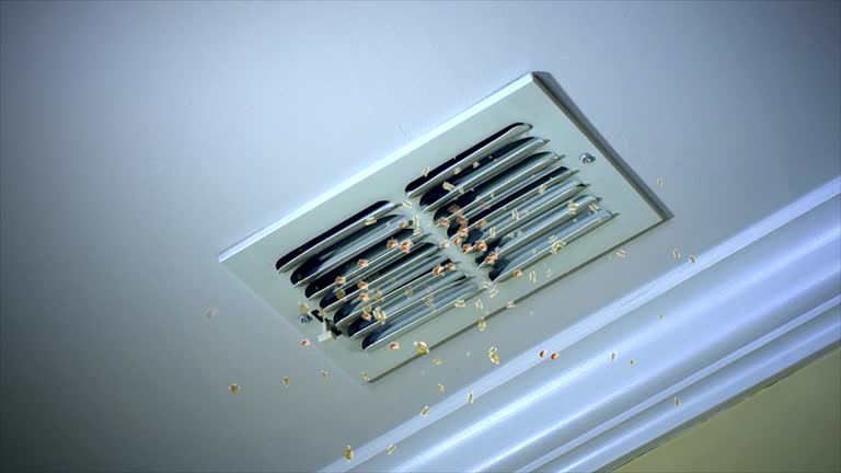 Best Best Air Duct Cleaning Company  in Geneva, IN