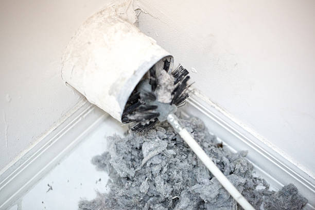 Best Home Air Vent Cleaning  in Geneva, IN